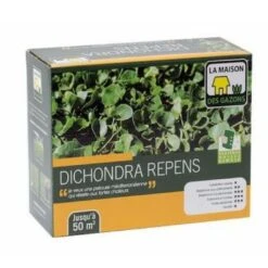 Graines De Dichondra Repens